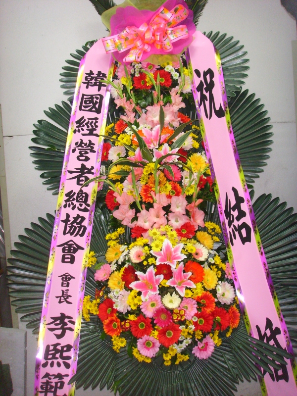  �μ���/�ǿ���