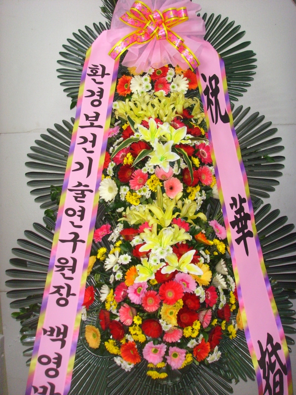 �μ���/��켺