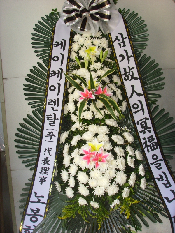 �μ���/���뿭