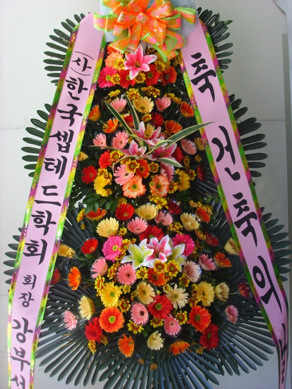 �μ���/���츮