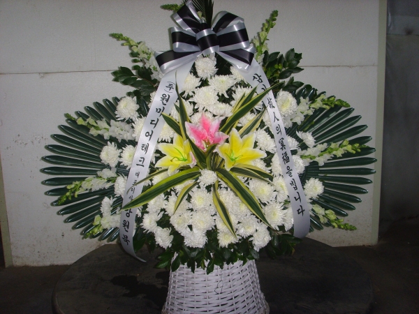 �μ���/�ֺ�ȯ