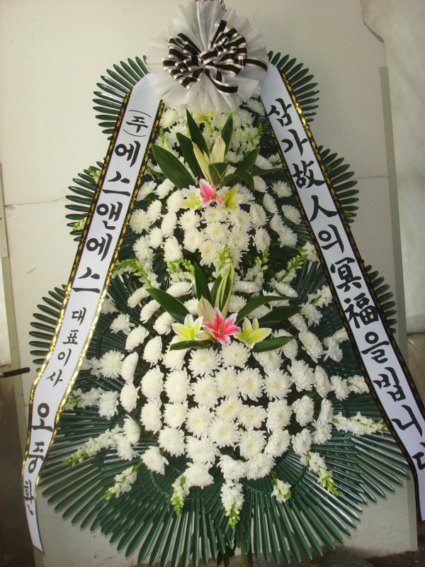 �μ���/�븸��