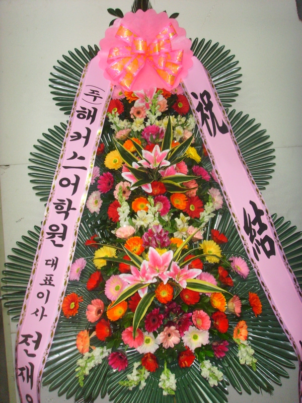 �μ���/ȫ�뼺