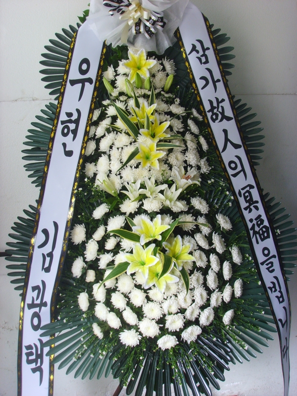 �μ���/���뿭