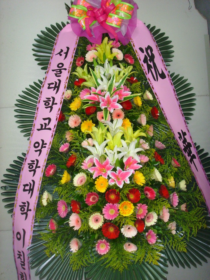 �μ���/��쿵
