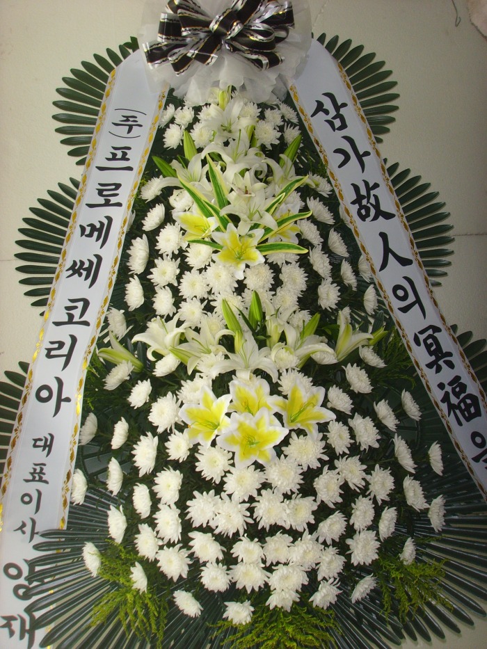 �μ���/��볫