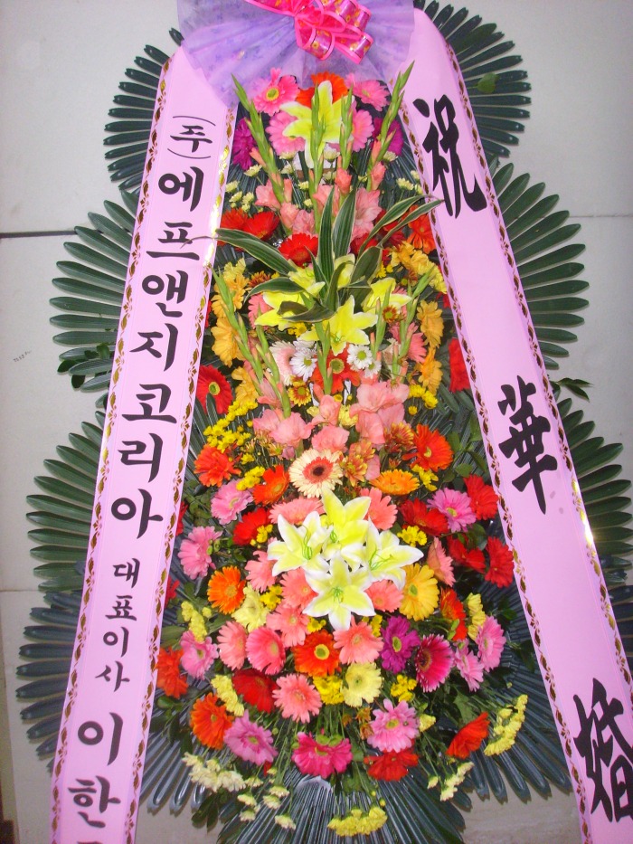 �μ���/��ȫ��