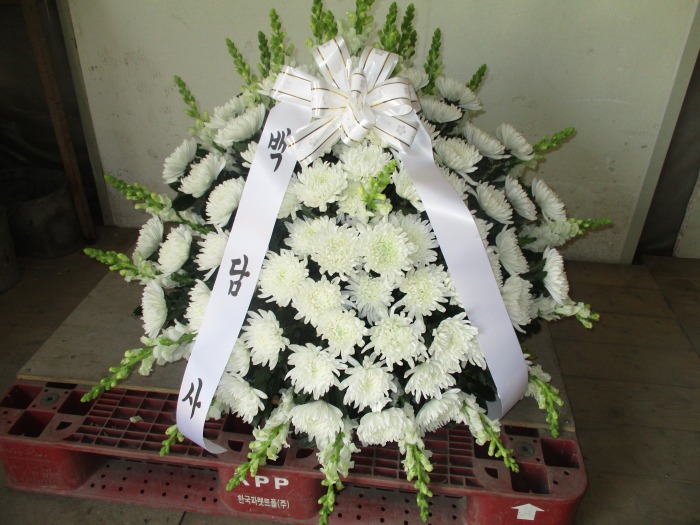 �μ���/�ڱݷ�