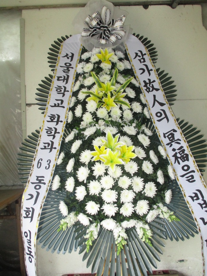 �μ���/�뼺ö