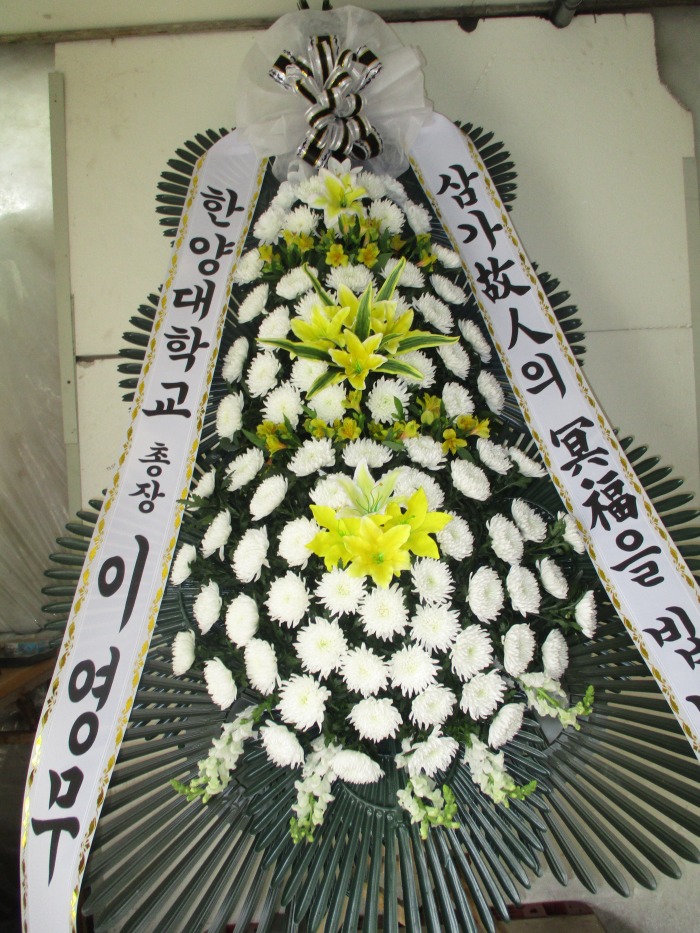 �μ���/�뿵��