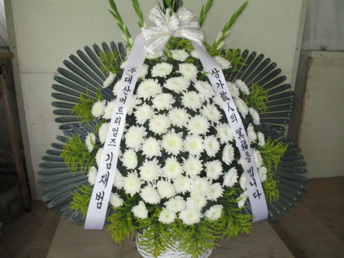 �μ���/�迵��