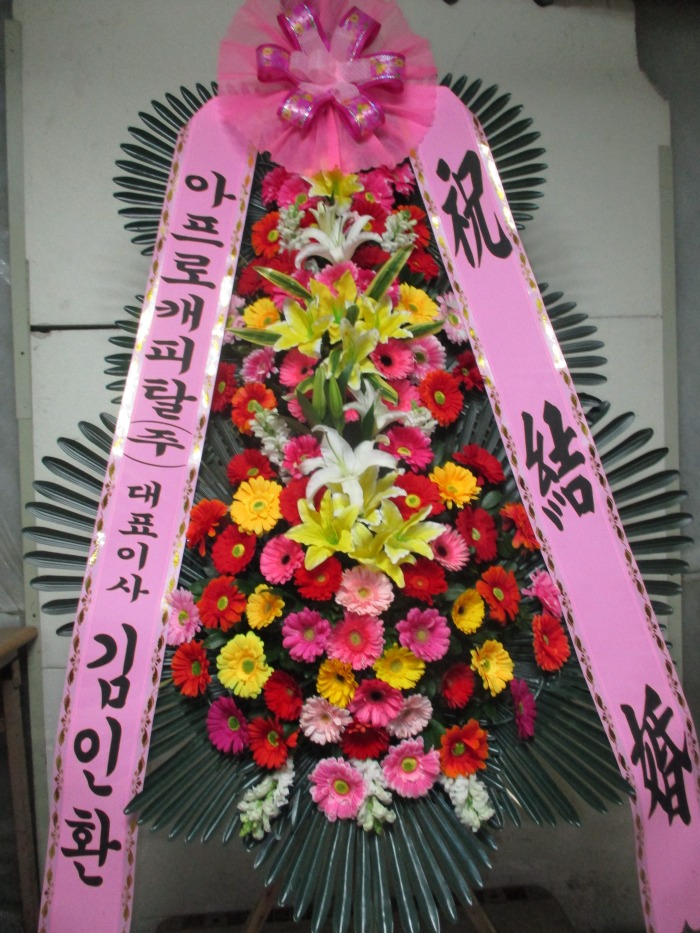 �μ���/���쿬