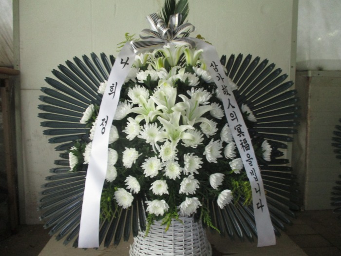 �μ���/����ȣ