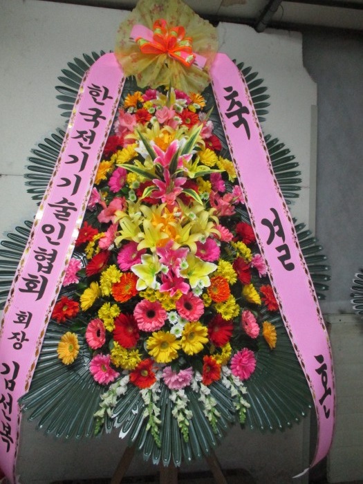 �μ���/�뿵��