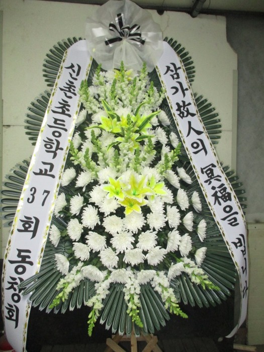 �μ���/��뿵