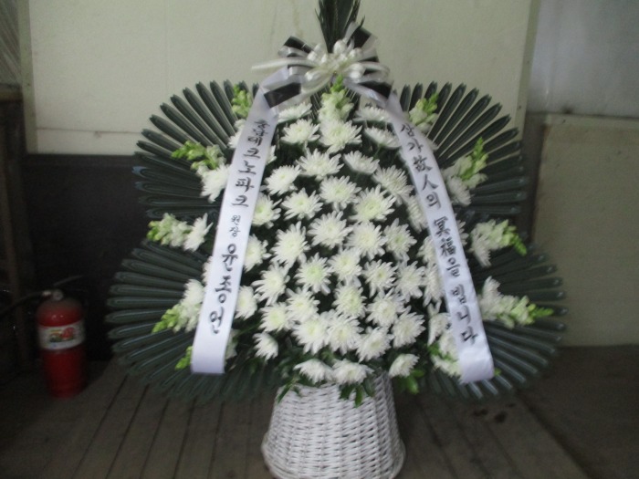�μ���/���翵
