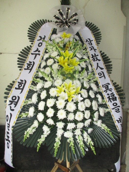 �μ���/�뿵��