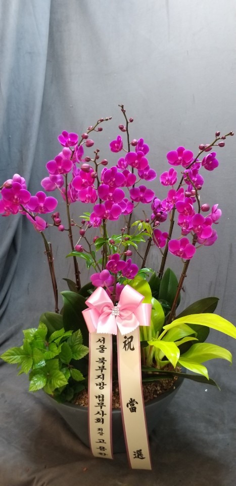 �μ���/���Ͽ�