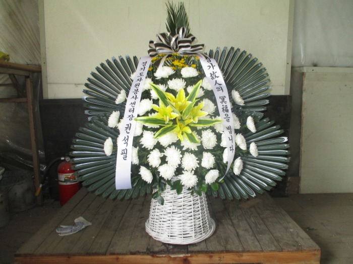 �μ���/ȫ����