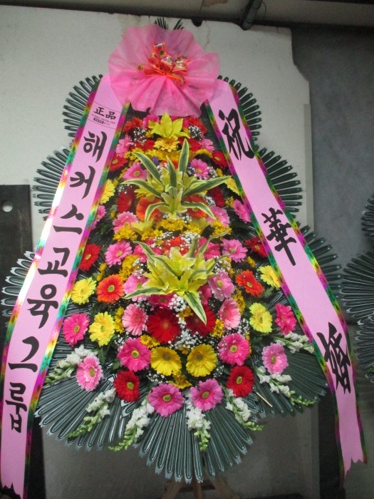 �μ���/�ǿ븸