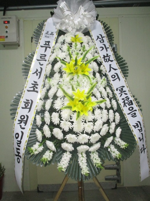 �μ���/�ǿ���