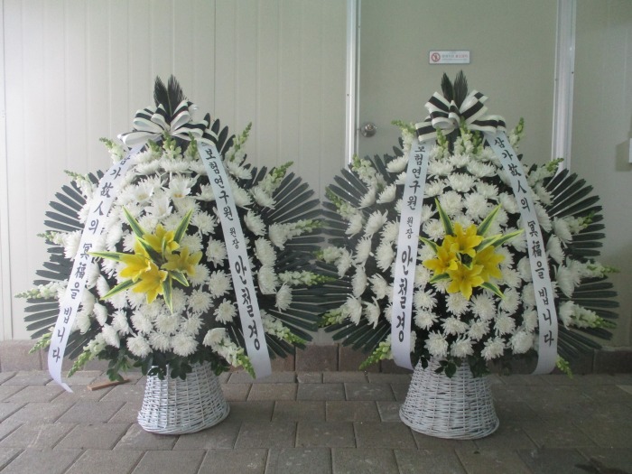�μ���/����ȣ