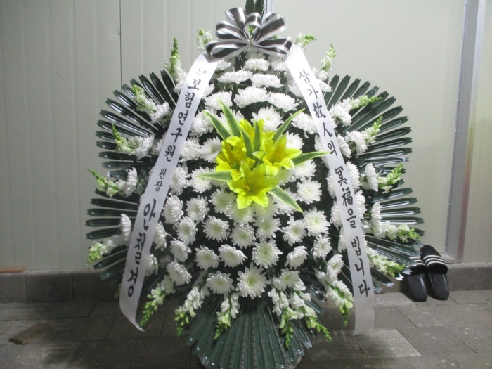 �μ���/��ȫ��
