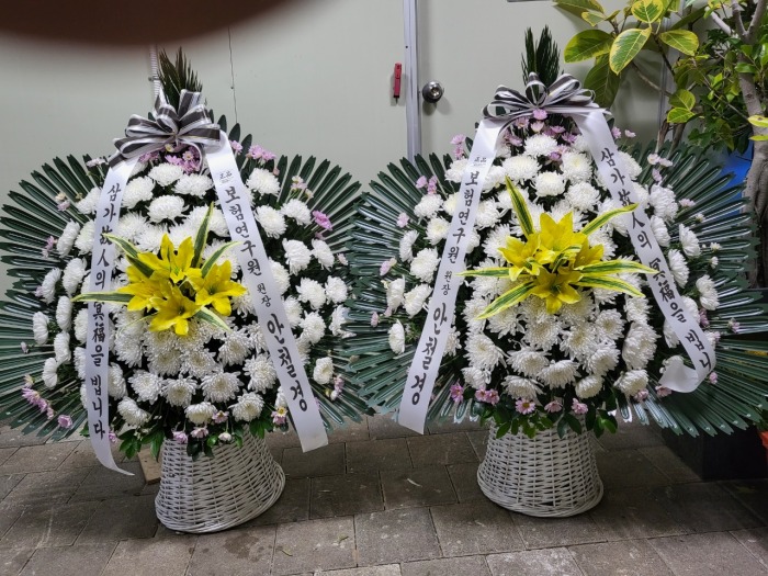 �μ���/��켮