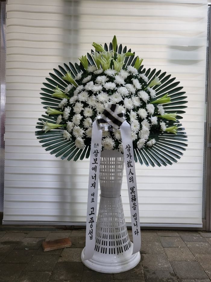 �μ���/��ȿ��