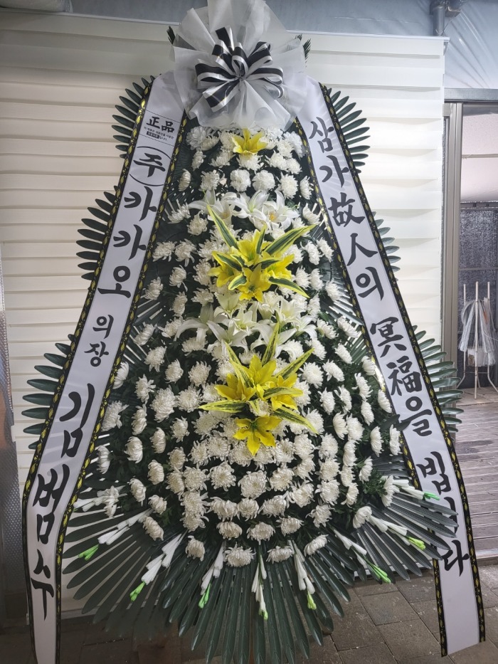 �μ���/��쿵