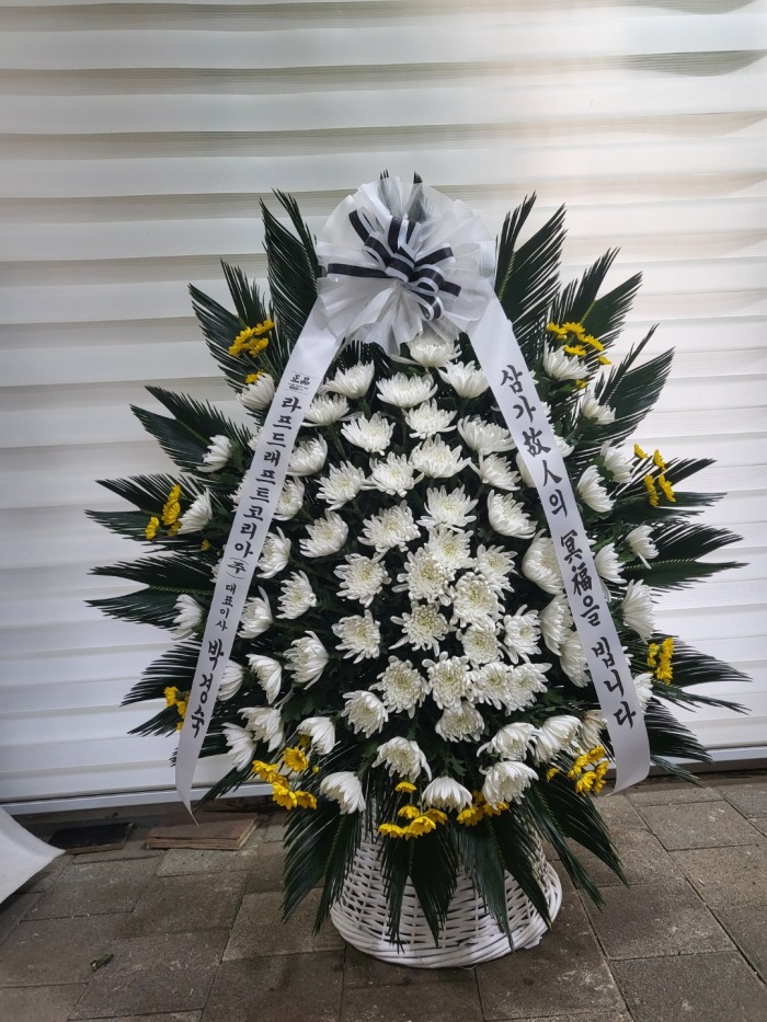 �μ���/�輱��