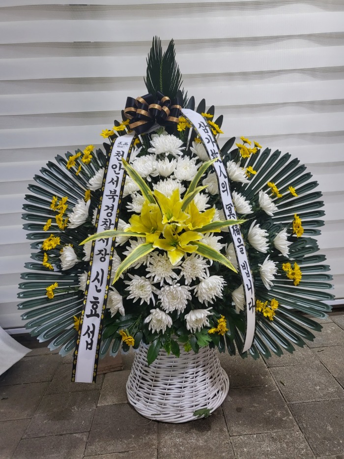 �μ���/�ۿ���