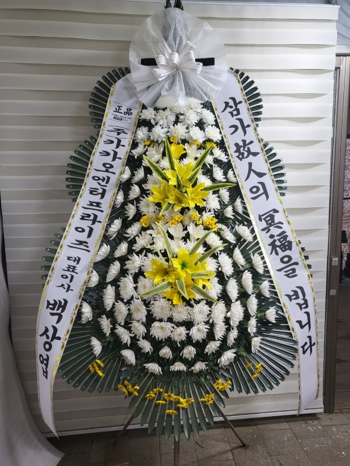 �μ���/���뿵