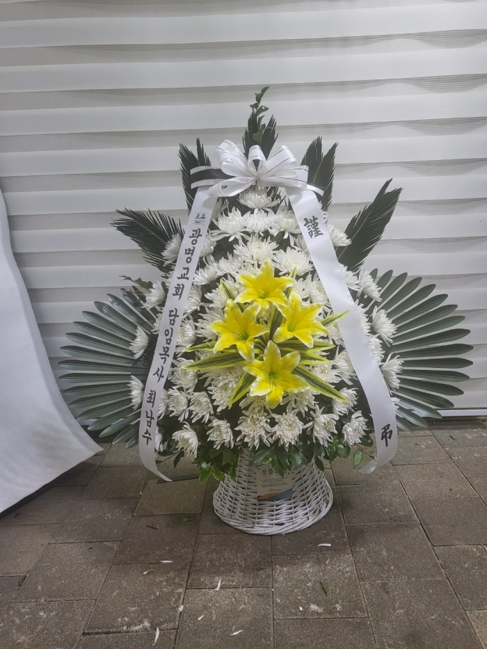 �μ���/�ȿ�ȯ