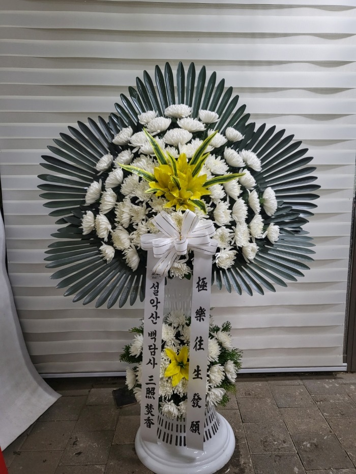 �μ���/�嵿��