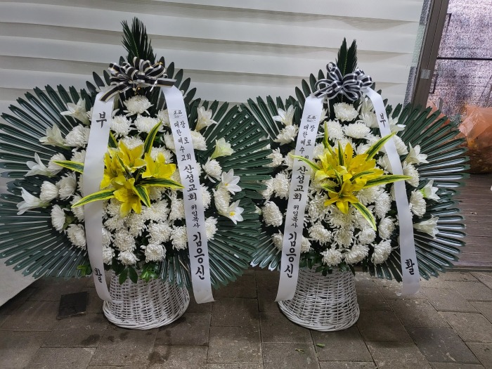 �μ���/�ڹ�ȣ