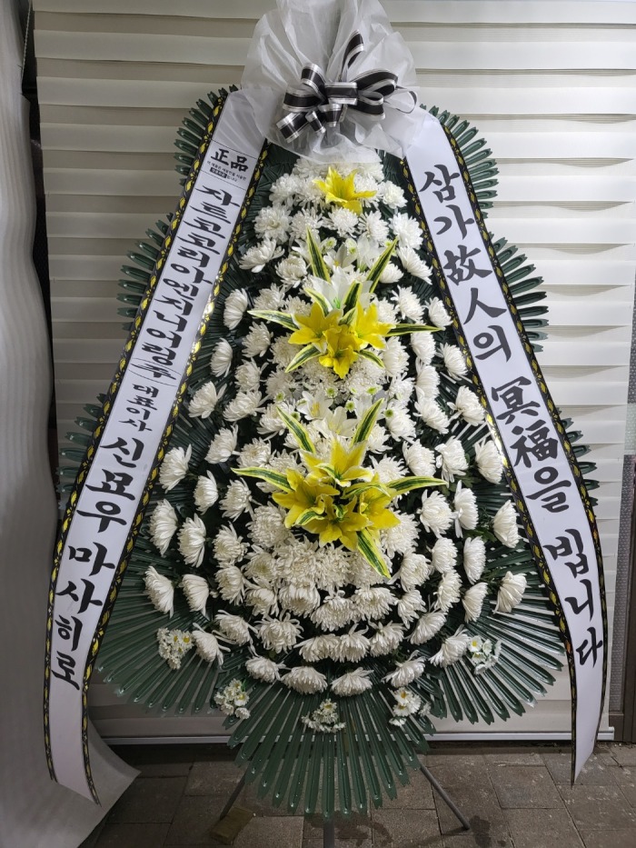 �μ���/����ȣ