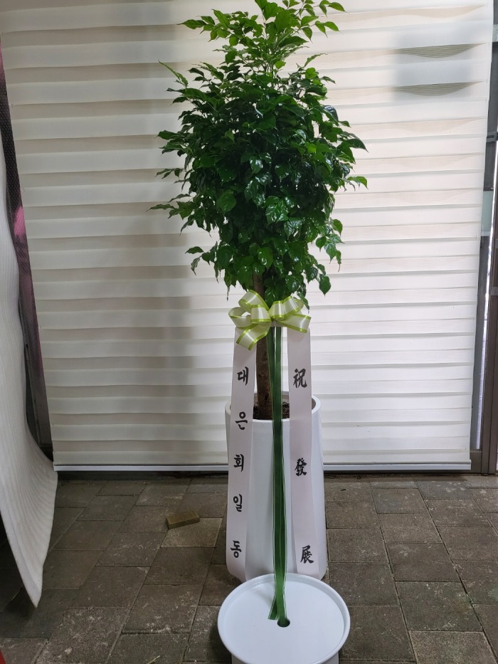 �μ���/�迵��
