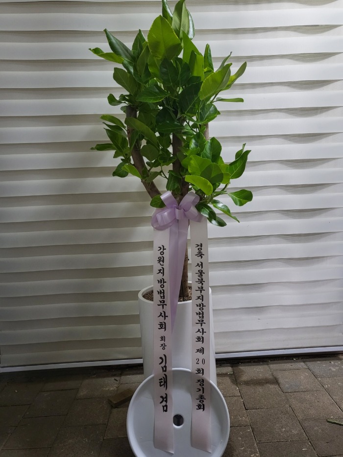 �μ���/ȫ����