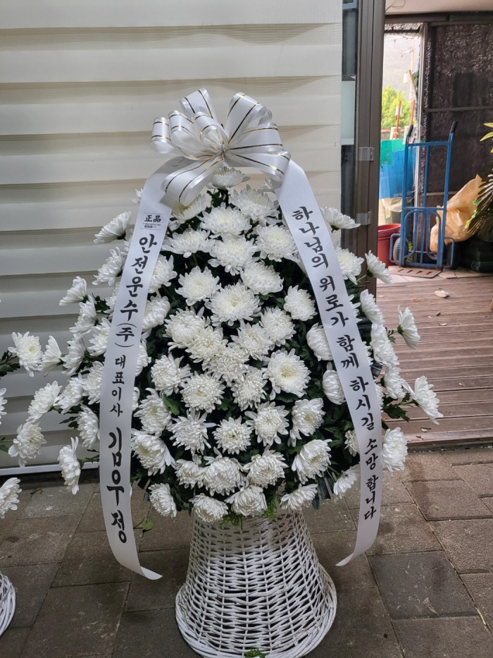 �μ���/�㼺ȣ