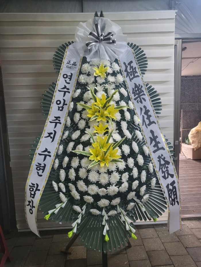 �μ���/����ȣ