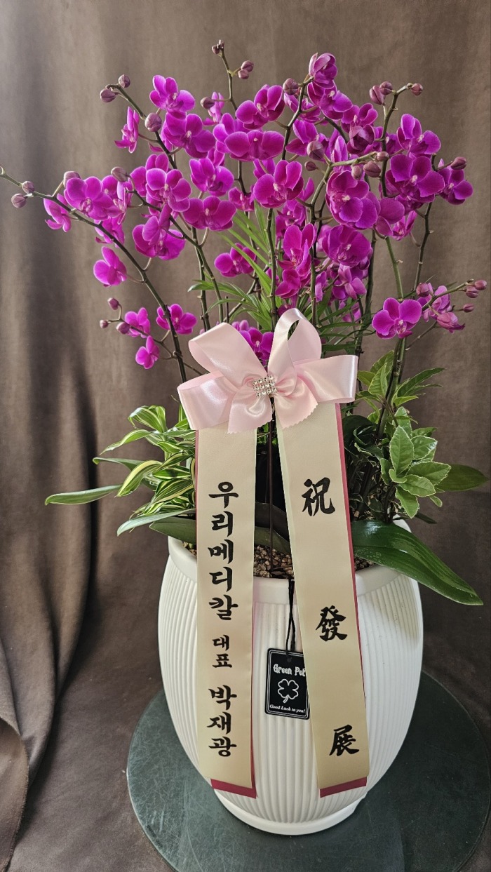 �μ���/�迵��