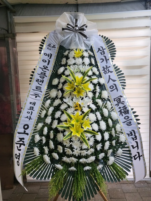  �μ���/��ȸ��