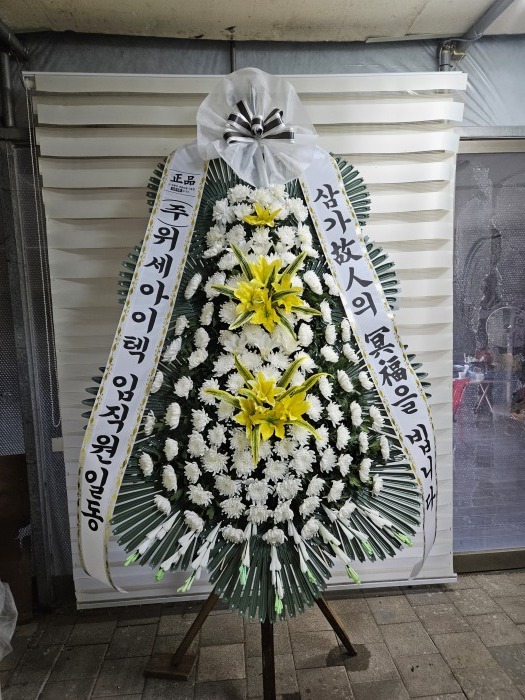�μ���/�뿵��