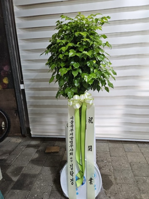 �μ���/����ȯ