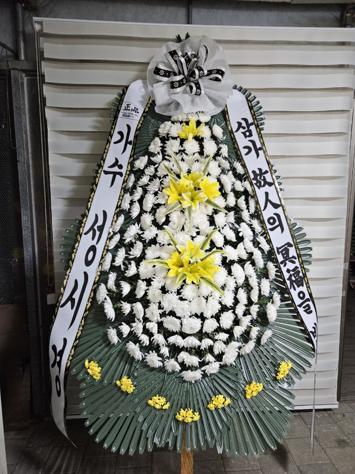 �μ���/���翭