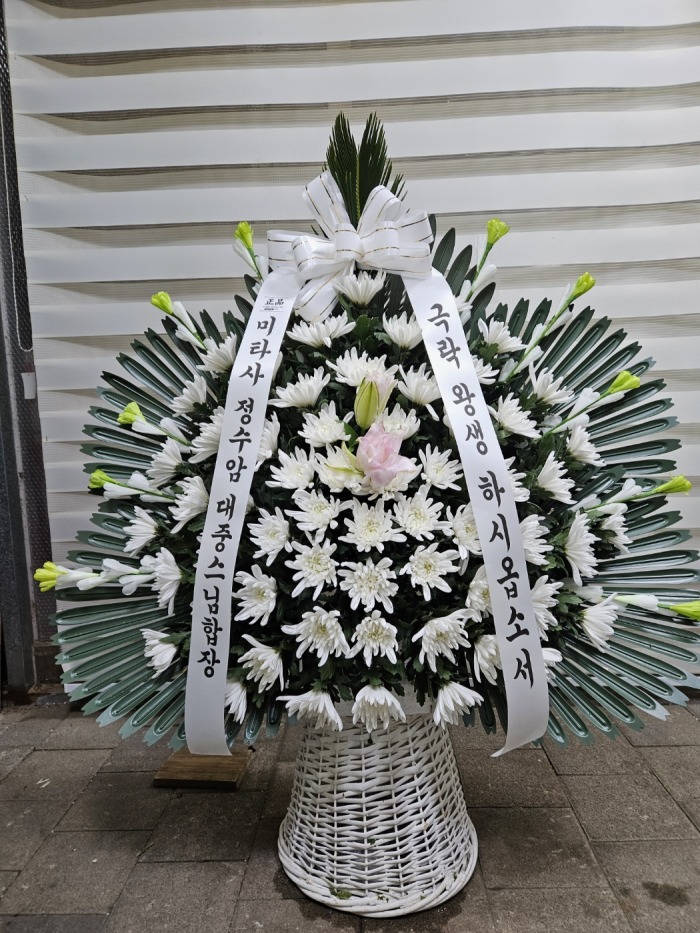 �μ���/��ȿ��