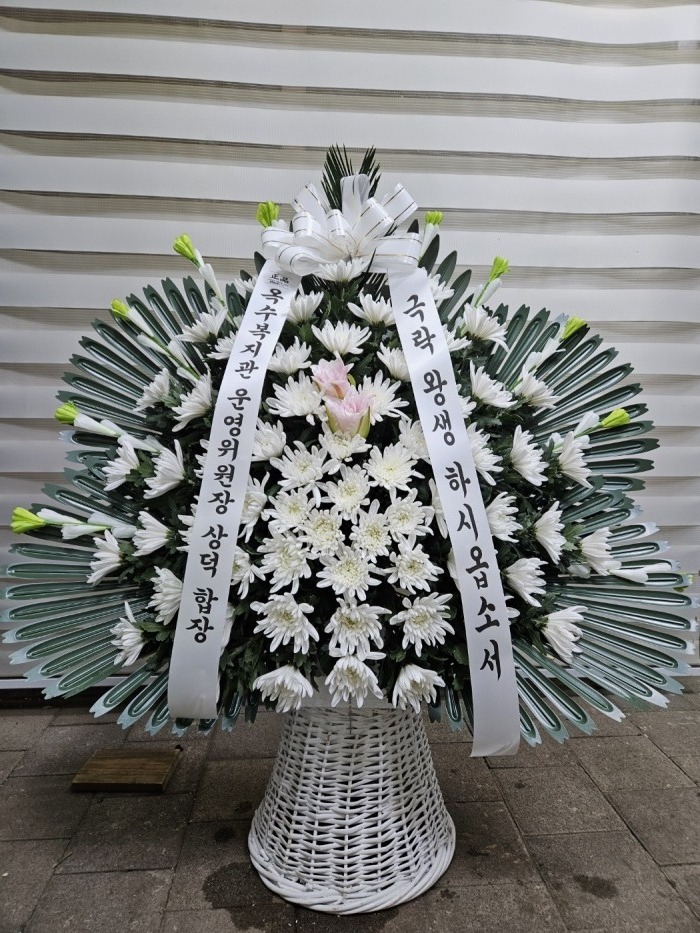 �μ���/��ȿ��