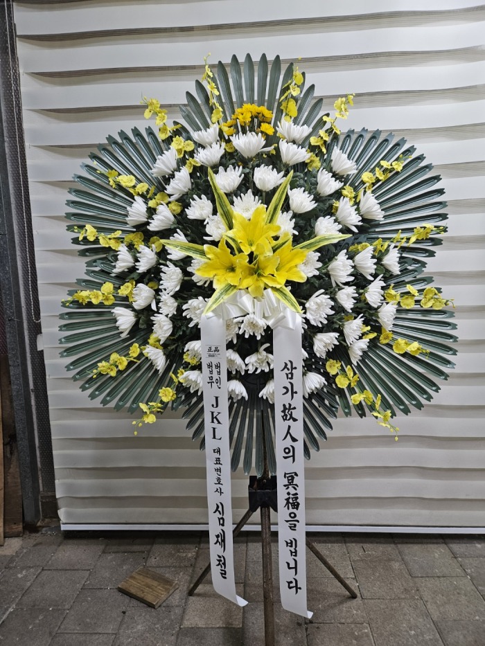 �μ���/�迬��