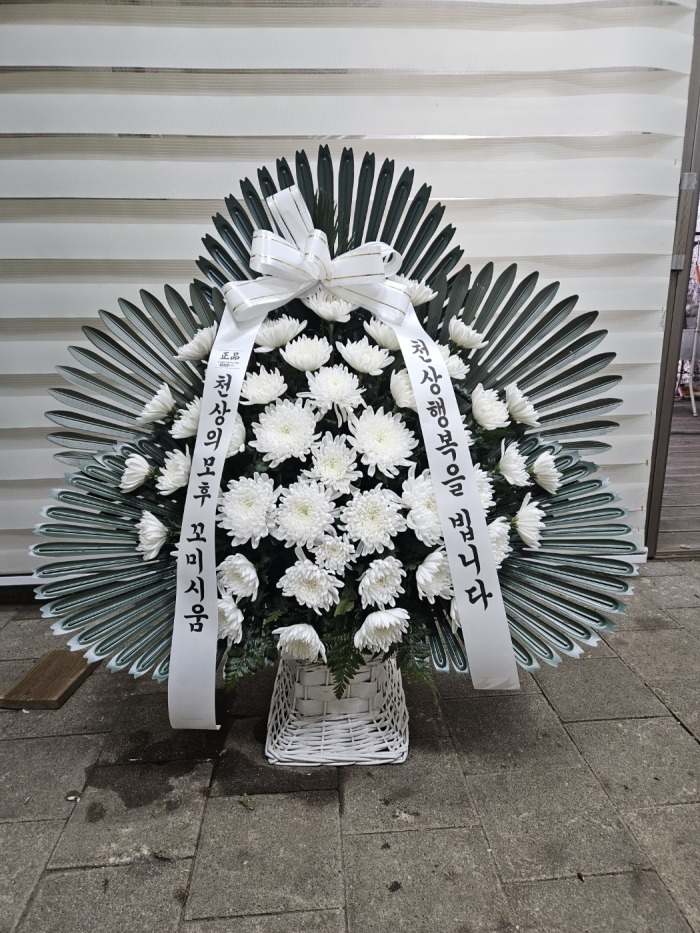 �μ���/�輼��